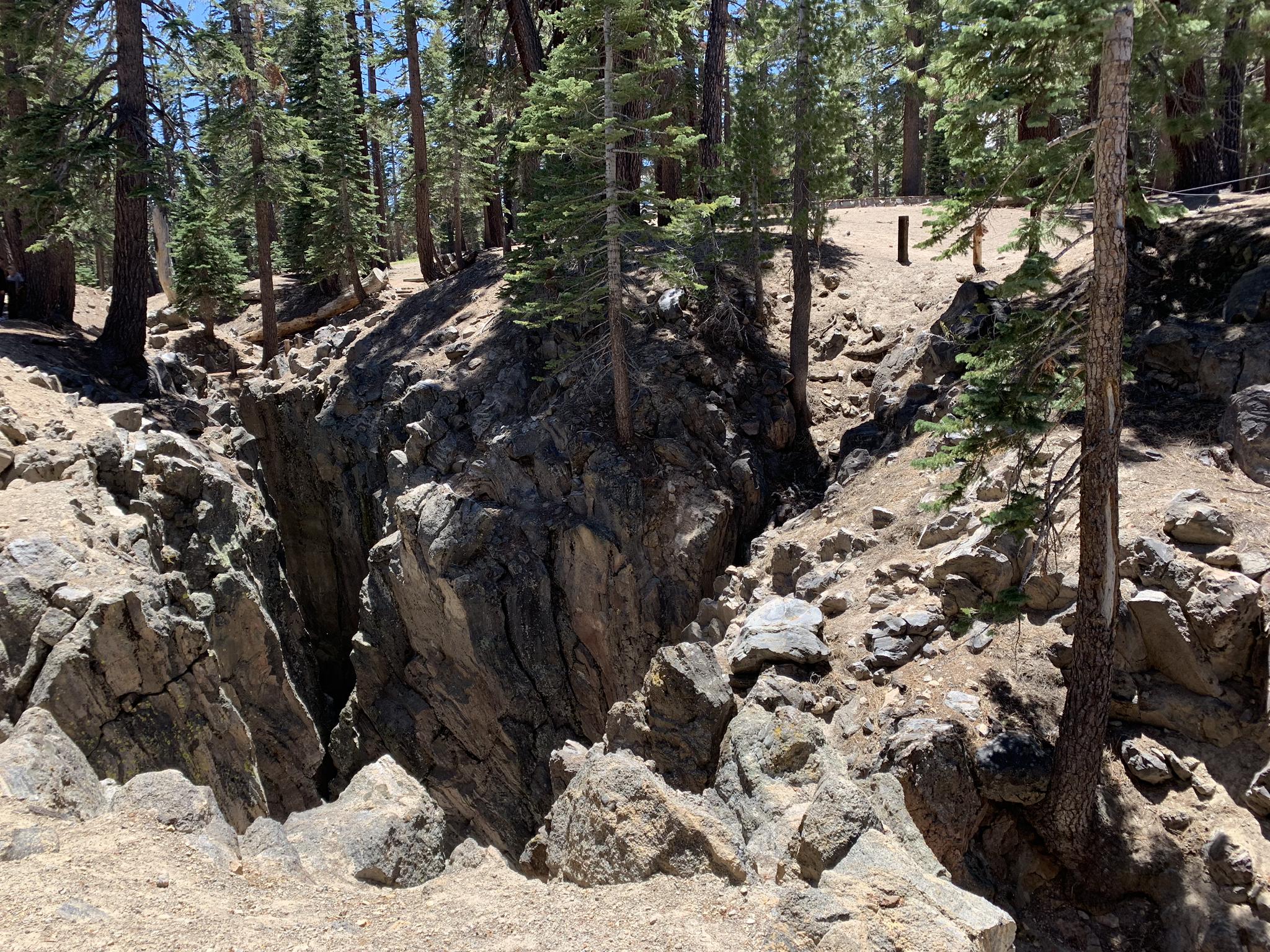 Deep rocky fissure in a sunlit forest with tall pine trees.
