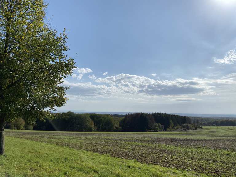 Eltville am Rhein Kurfürstliche Burg Eltville Runde von