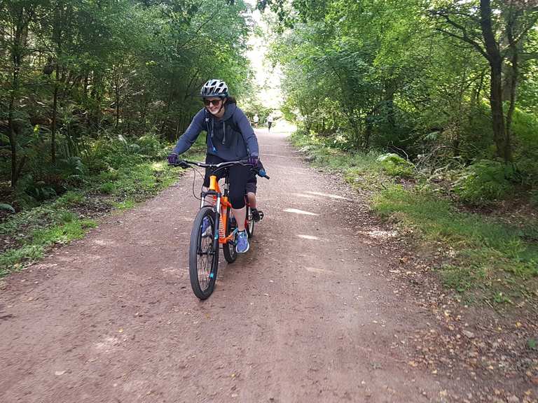 forest of dean cycling centre