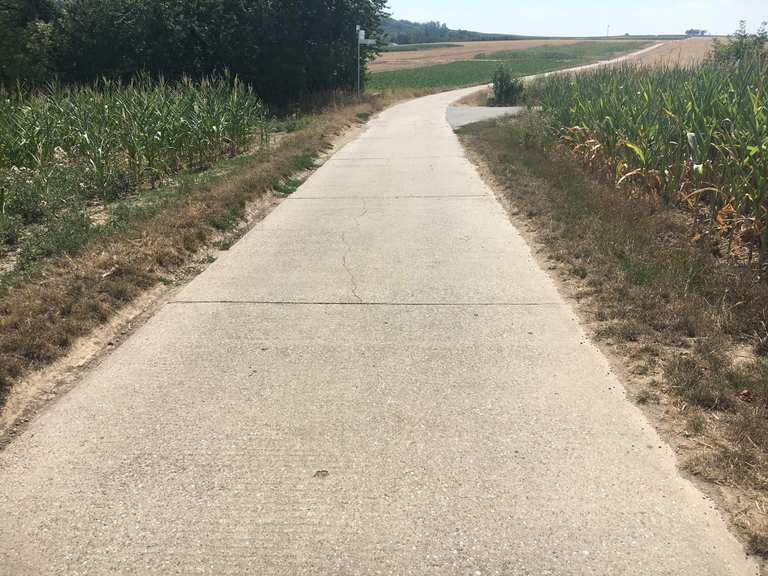 Schöner Ausblick – Amiche Radweg Circuit à partir de Mommenheim | Tour