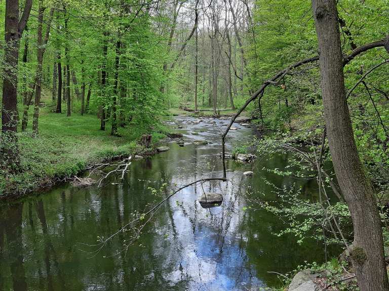 Spreetal im Humboldthain Wanderungen und Rundwege komoot