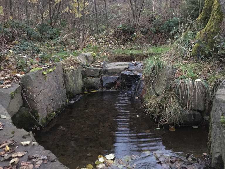 GroßenbachQuelle Wanderungen und Rundwege komoot