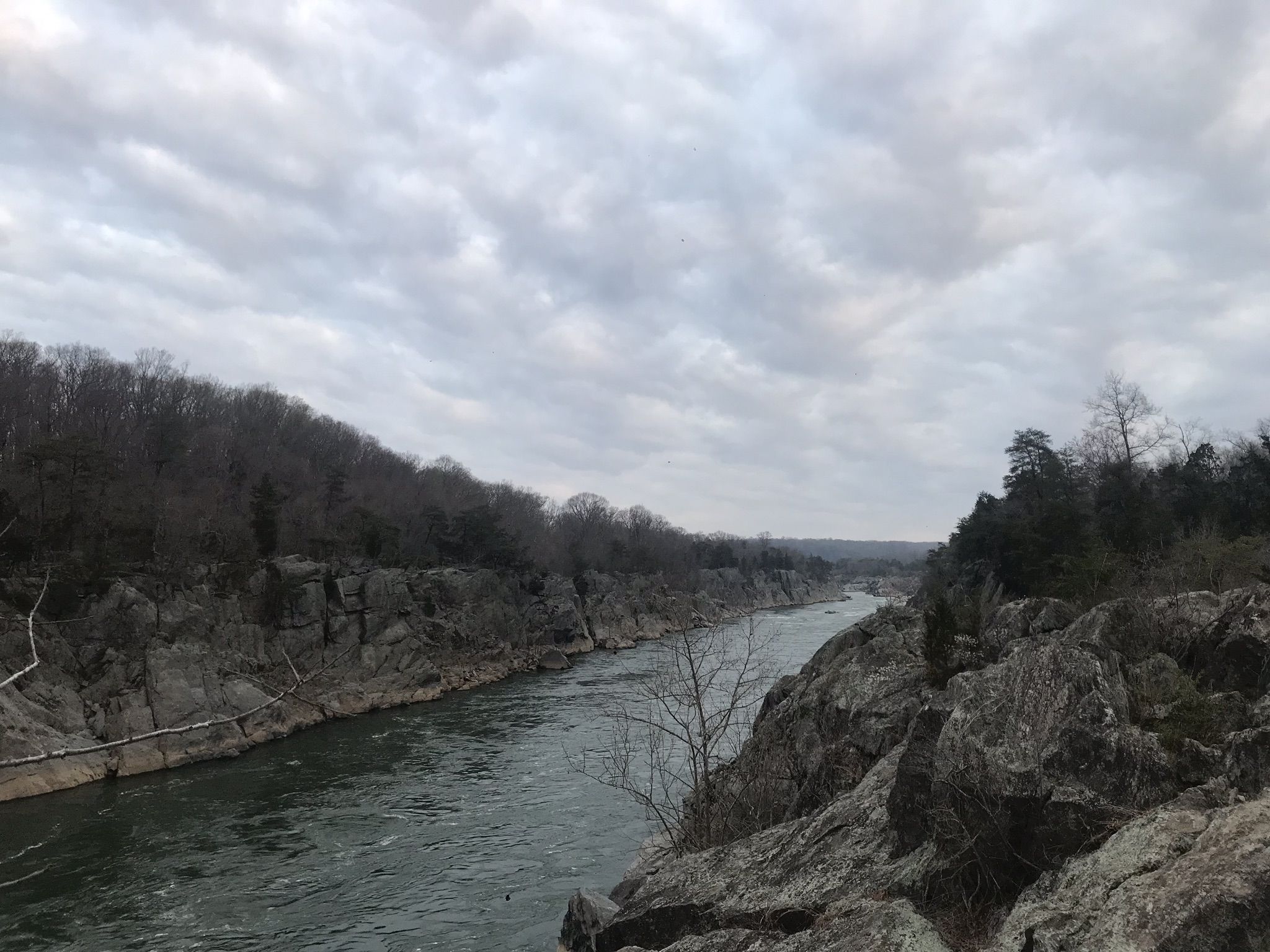 Wide, calm river flows between rocky, forested banks under a cloudy sky. - Billy Goat A Trail Entrance loop from Chesapeake and Ohio Canal National Historical Park
