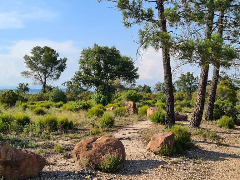 Lac des Escarcets, la plaine des Maures Destination Balades
