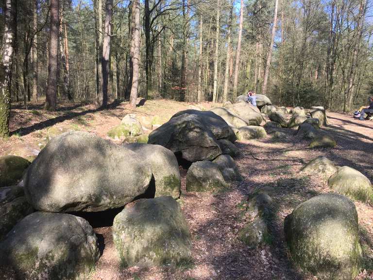 Großsteingrab in der Kunkenvenne Radtouren und Radwege komoot