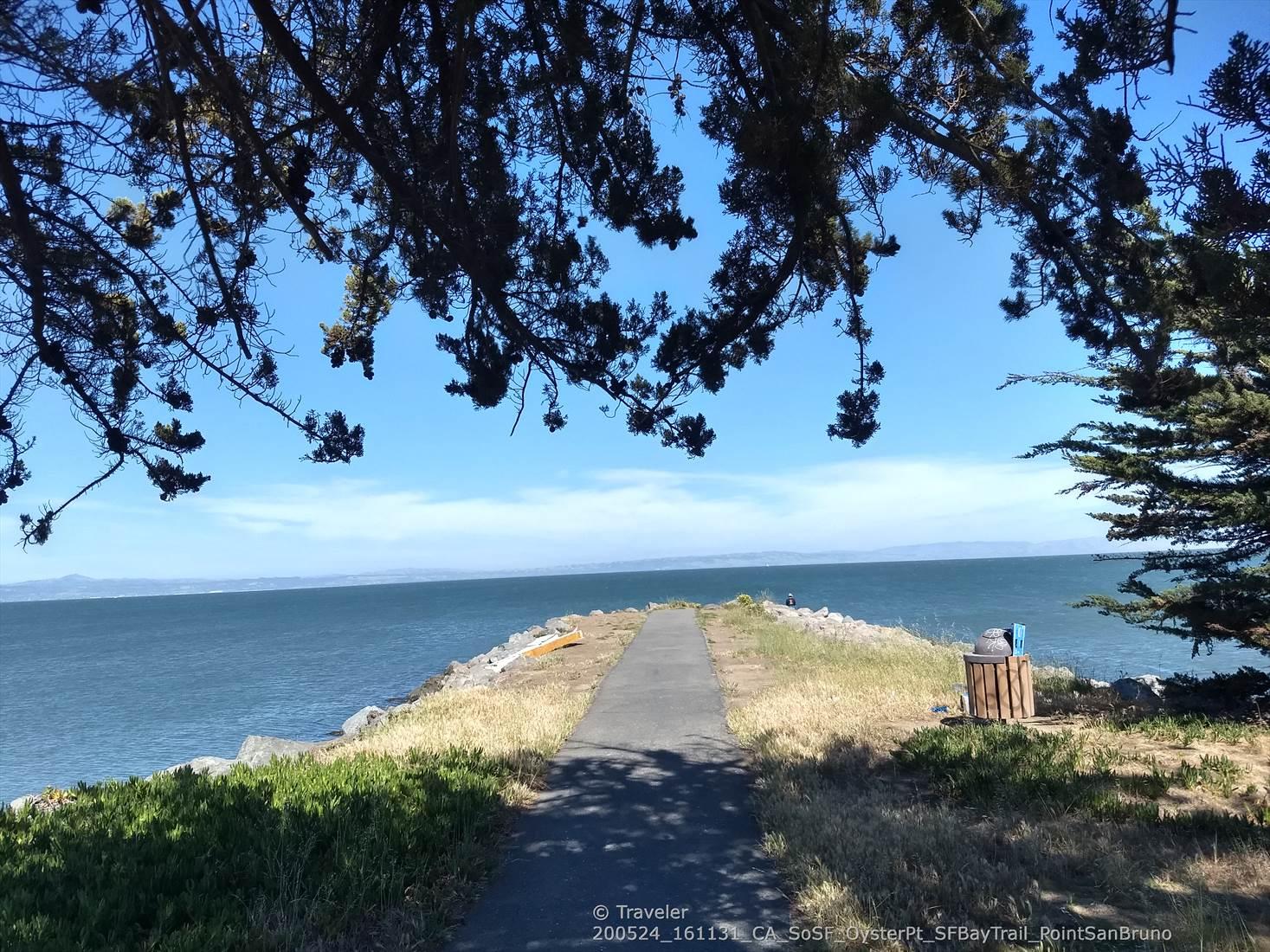 Paved path leading to a wide bay, framed by dark tree branches.