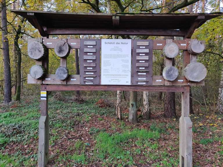 fahrrad weg von wenddeburg nach müden an der aller