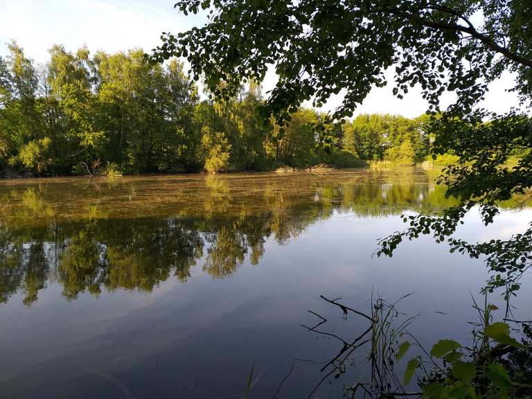 Timmenhorner Teich Radtouren und Radwege komoot