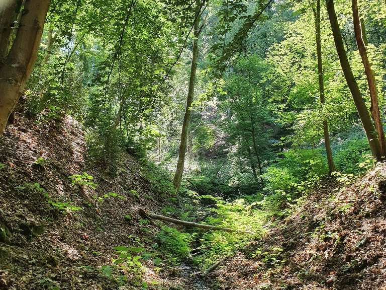 Neanderlandsteig - Routes for Walking and Hiking | Komoot