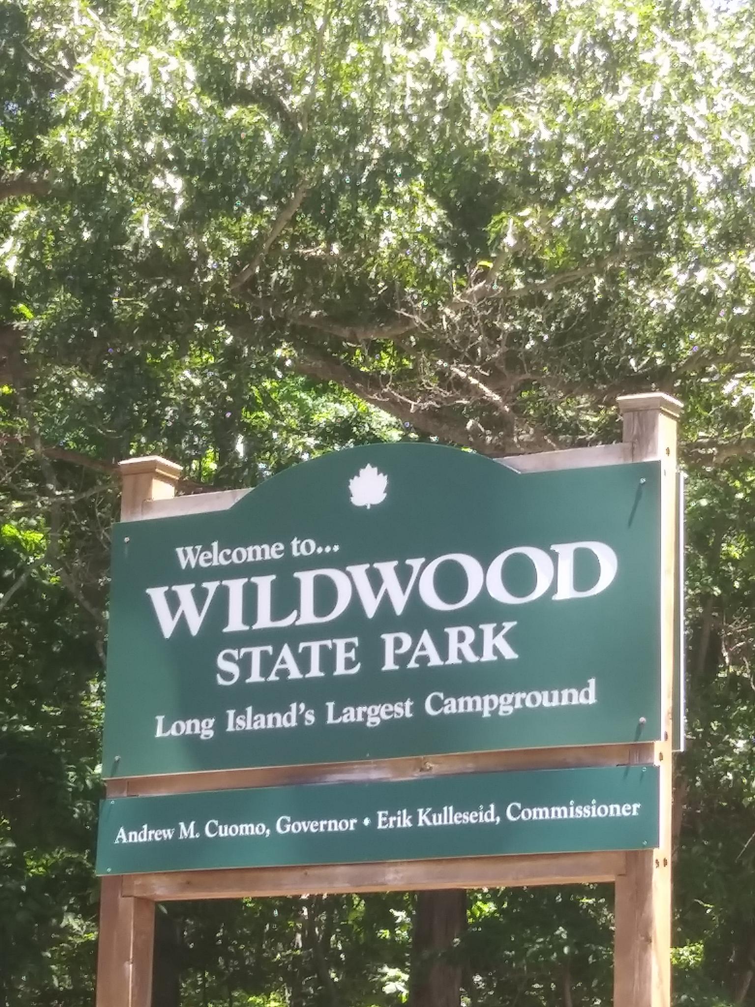A green park sign with white text, surrounded by bright green trees in daylight.