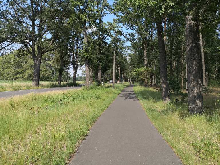 Straßenbegleitender Radweg Rennradfahren und Rennradtouren komoot