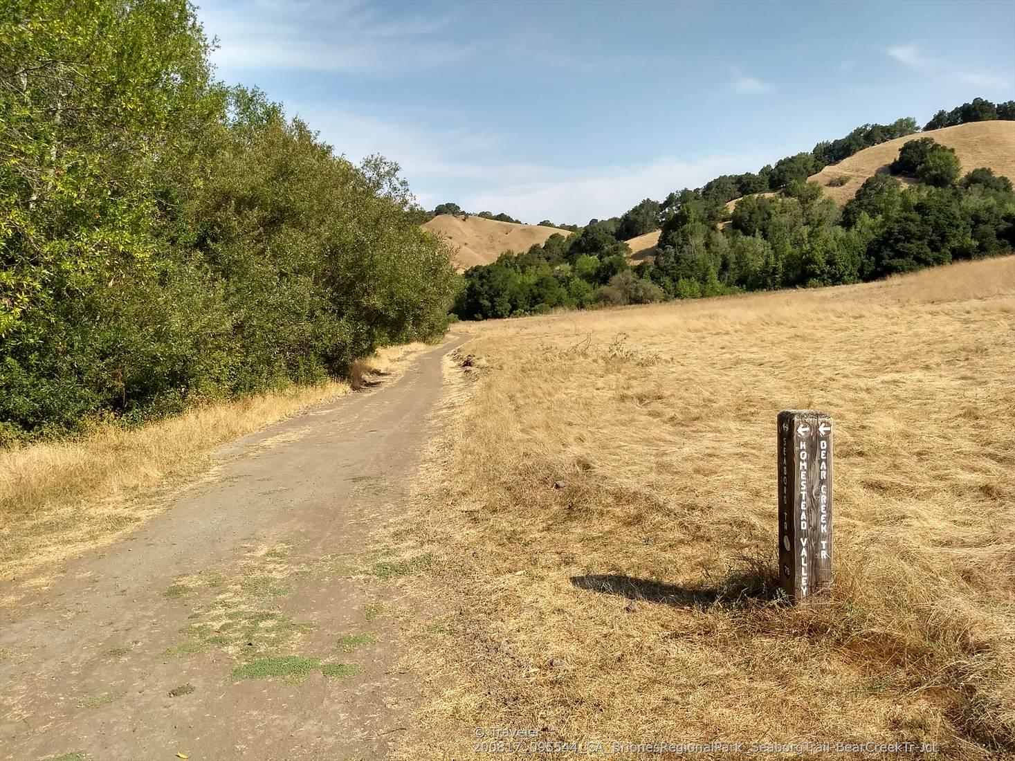 Dirt path alongside dry golden grass and green trees under blue sky.