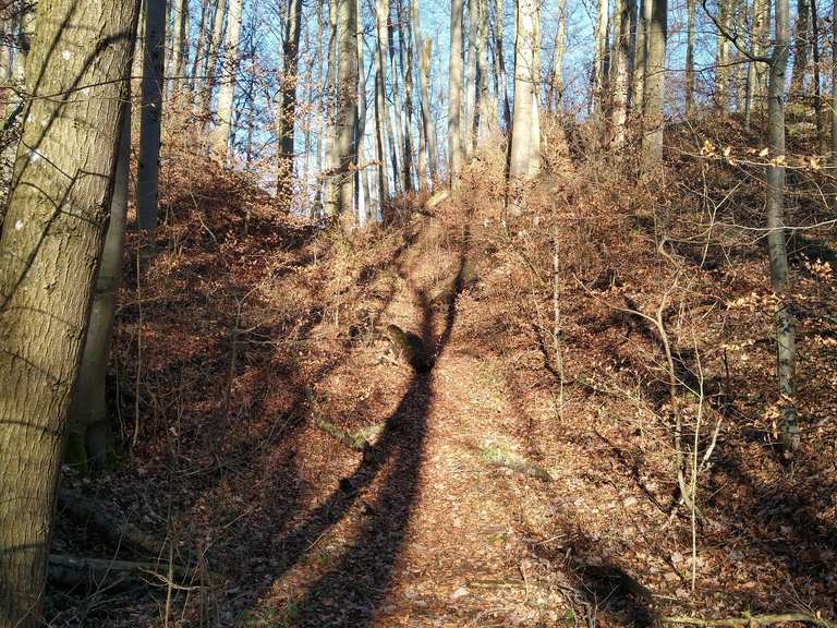 Burgruine Nordenberg Routes for Walking and Hiking | Komoot
