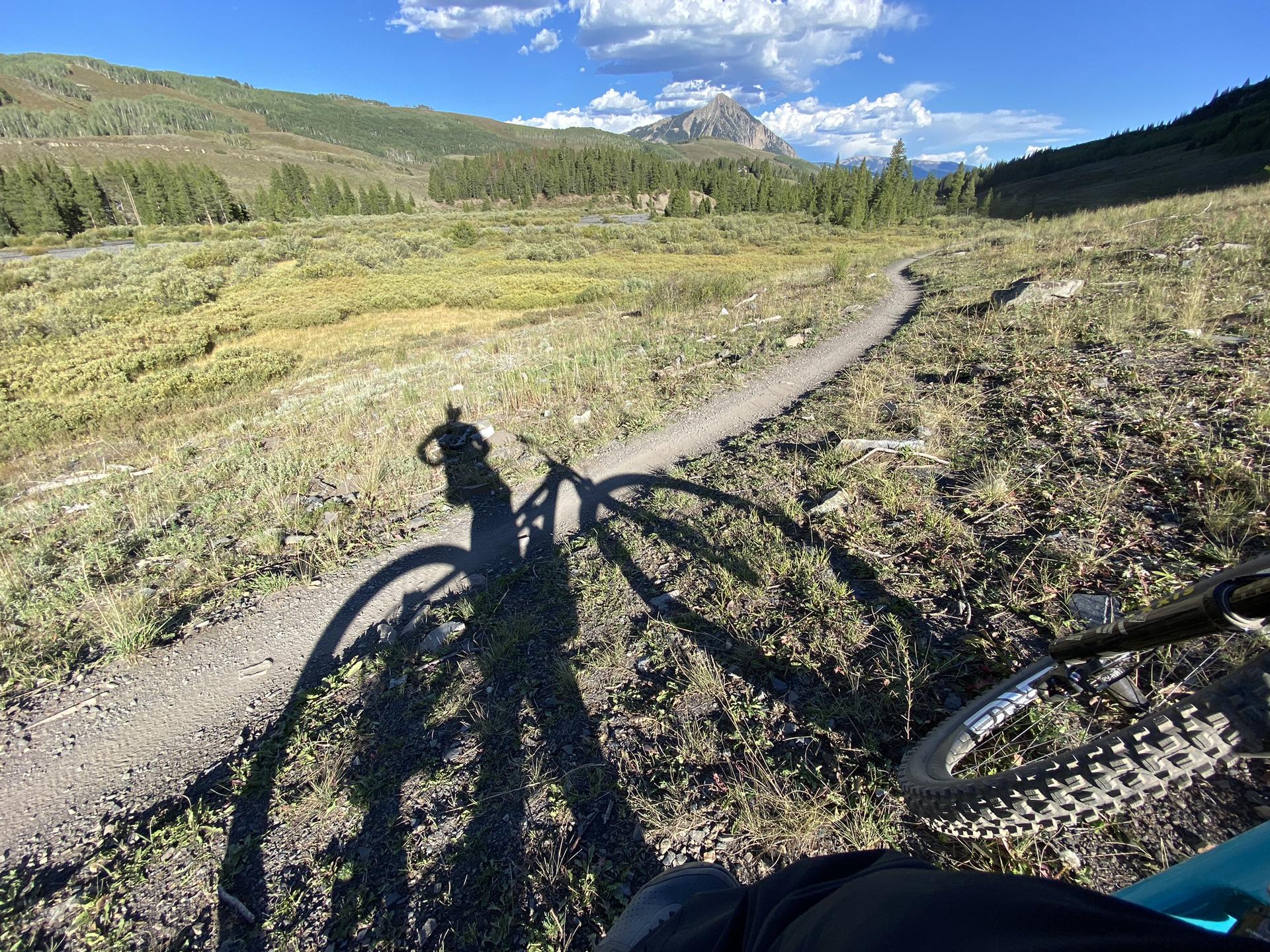 Shadow of a mountain biker on a sunny dirt trail through a green valley.