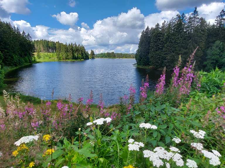 Bärenbrucher Teich (HWN 137) Wanderungen und Rundwege komoot