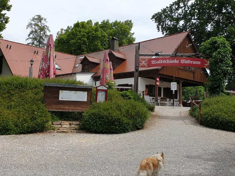 Eisbrunn Wanderungen und Rundwege komoot
