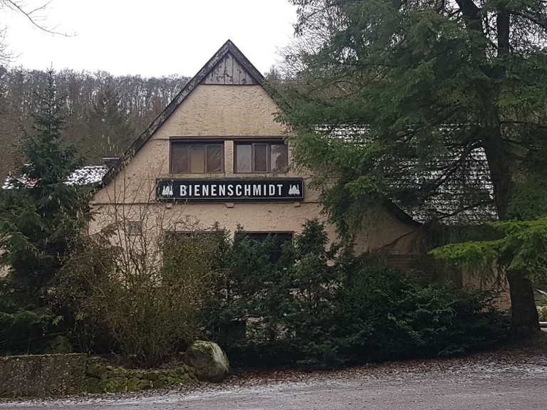 Bienenschmidt: Wanderungen und Rundwege | komoot