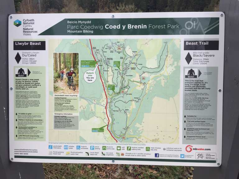 Coed y best sale brenin bike trails