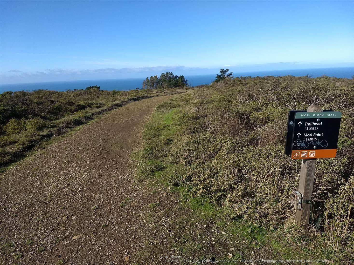 Dirt path leading to ocean view with a trail sign on a clear day.