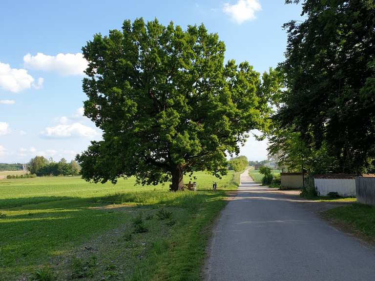 Radweg im Ampermoos - Sentiers et pistes de VTT | Komoot