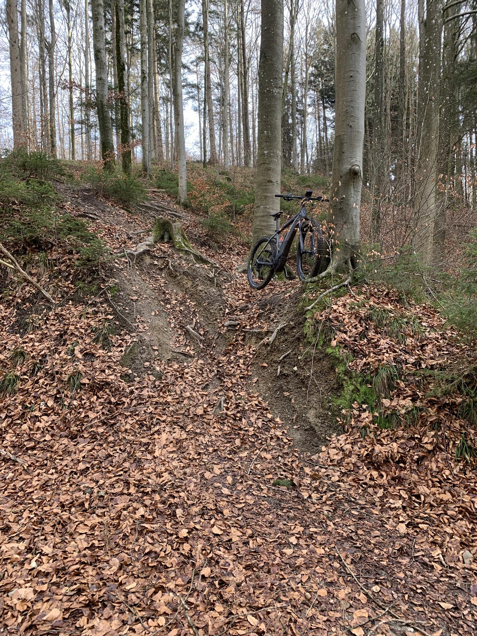 dawson forest mountain bike trail