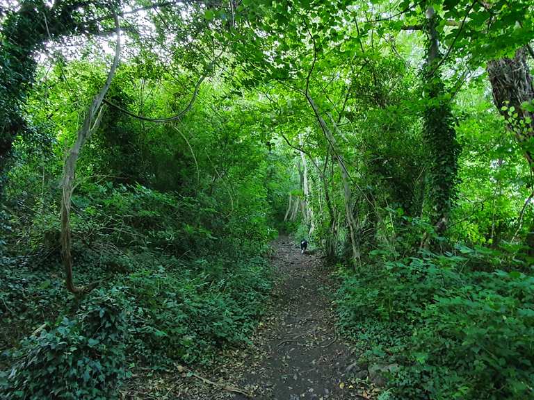 Llanymynech Rocks Nature Reserve Wanderungen und Rundwege komoot