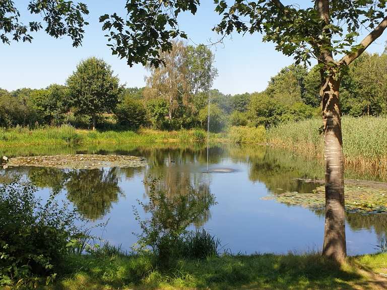 Burg Kloppenburg – Park in Cloppenburg Loop from Cloppenburg | bike