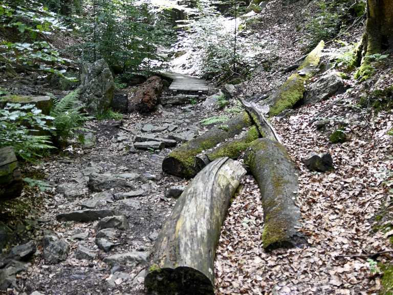 Belle montée vers la source de la Géronstère Itinéraires de rando et marche Komoot