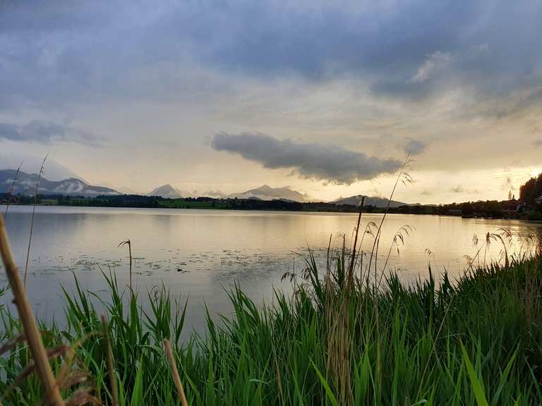 Blick auf den Hopfensee Hopfen am See, Ostallgäu