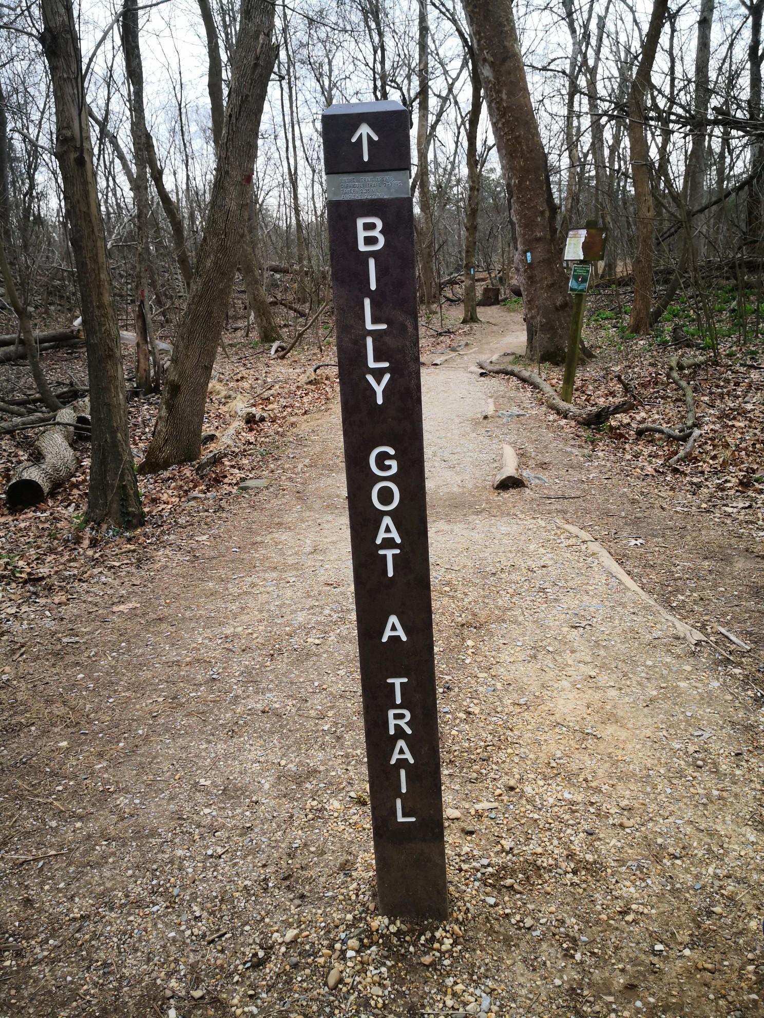 Wooden trail sign in a forest with bare trees, pointing up a path.