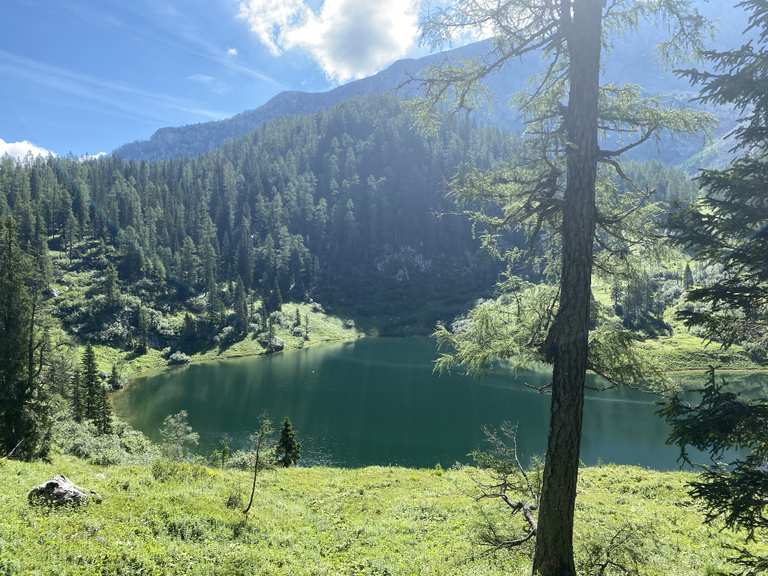 Grünsee Wanderungen und Rundwege komoot