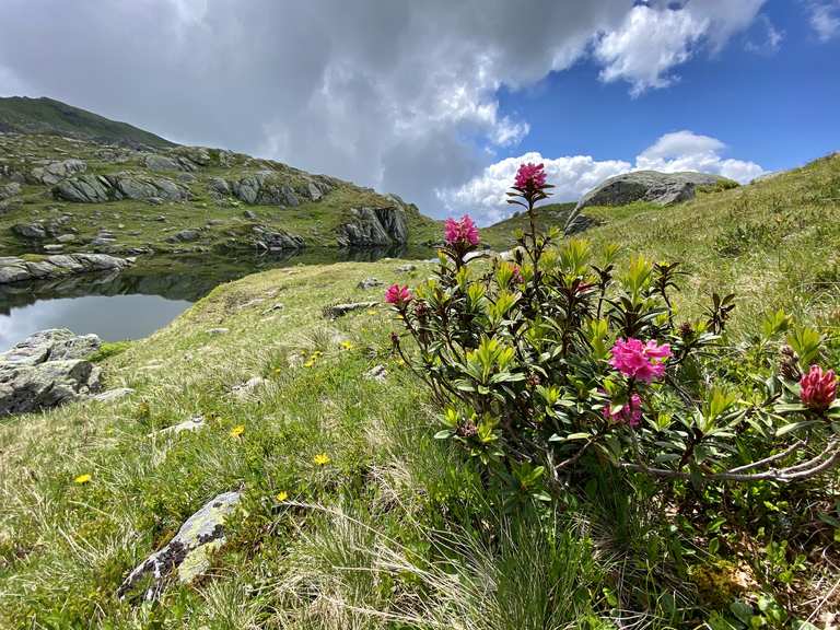 Alpeli Fessis Seeli Wanderungen Und Rundwege Komoot