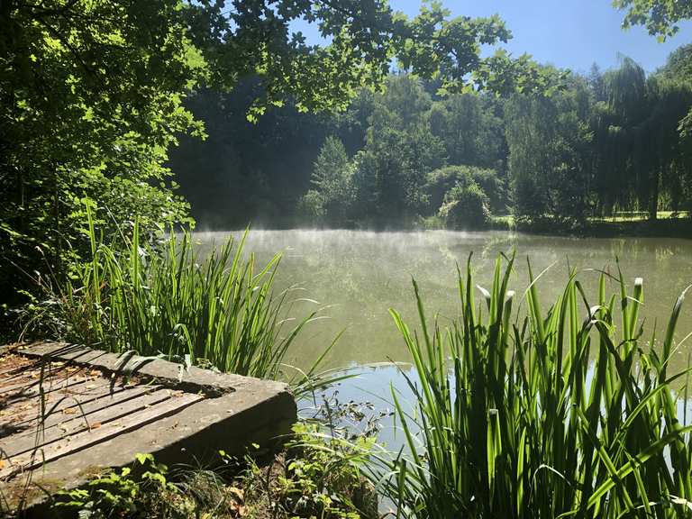 Waldteich Würnitz Wanderungen und Rundwege komoot