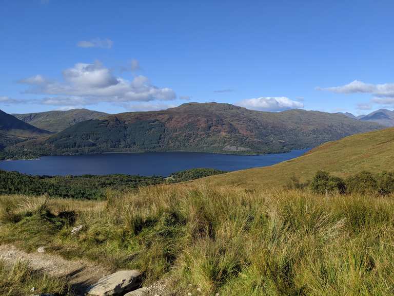 Ben Lomond Mountain Path Routes for Walking and Hiking Komoot