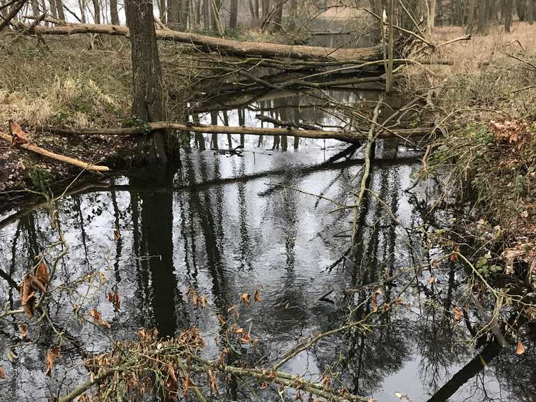 Eiserbuder See Am Pregnitzfließ Runde von Sophienstädt Wanderung