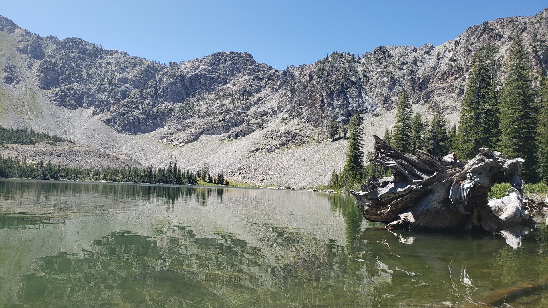Clear mountain lake reflecting rocky peaks, with large driftwood in foreground.