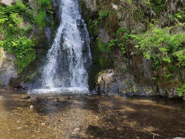 Oberer Spiegeltaler Teich Routes for Walking and Hiking Komoot