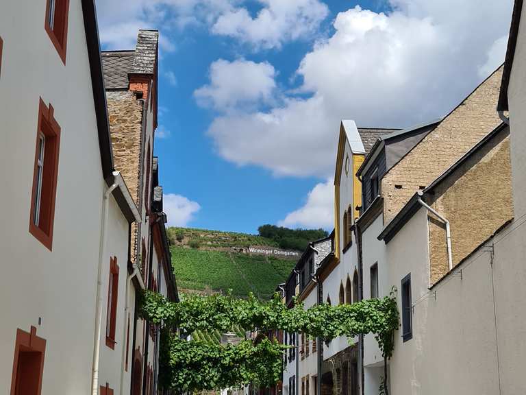 Winningen Blick auf den Alkener Burgberg Runde von