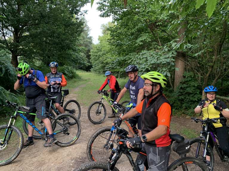 bedgebury mtb trails