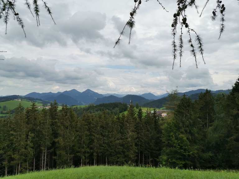 Grillenparz Wanderungen und Rundwege komoot