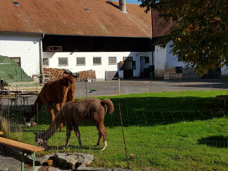 Straußenfarm Mitterhof (Klostergut Mitterhof) Wanderungen und Rundwege