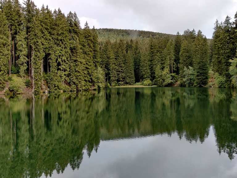 Schalker Teich Wanderungen und Rundwege komoot