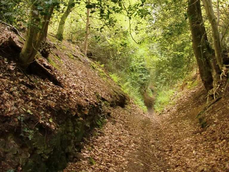 Shere drop DarkLane Mountain Bike Trails & Tracks Komoot