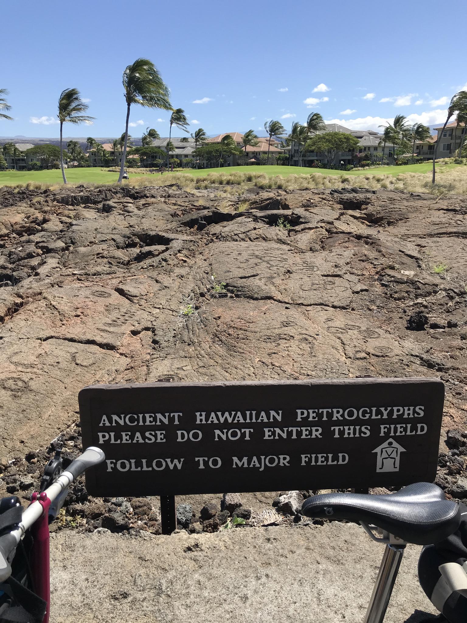 A sign on rocky ground with a bicycle, green grass, and palm trees.