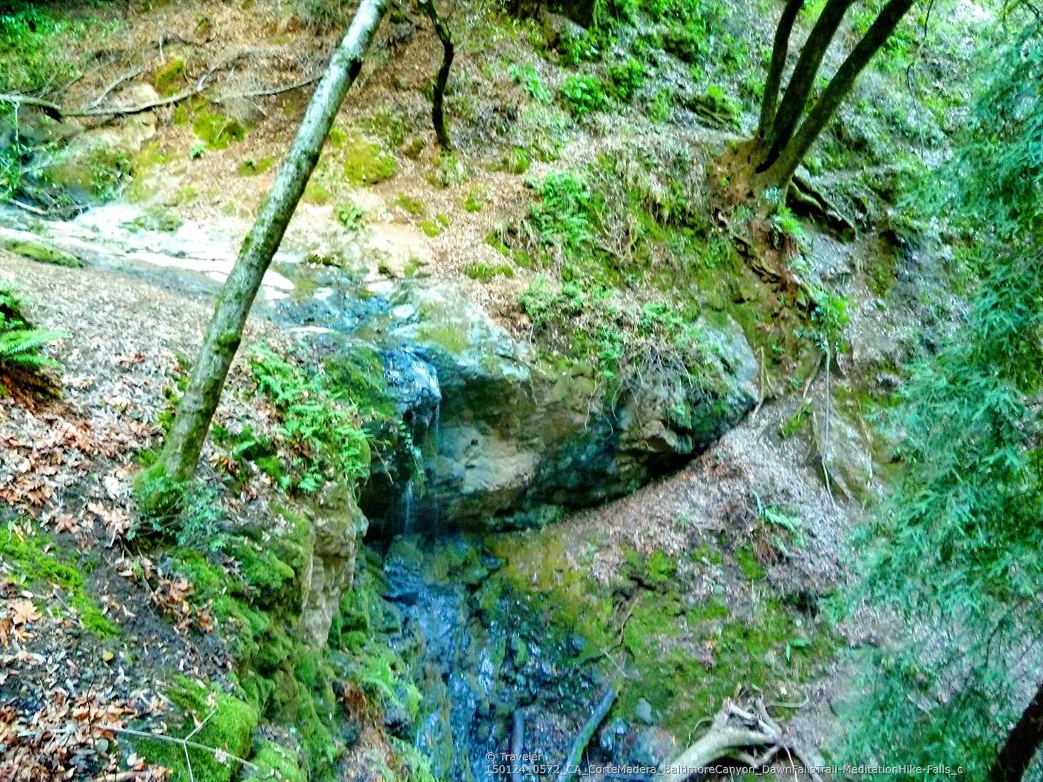 Small waterfall cascading over mossy rocks in a lush, green forest ravine.