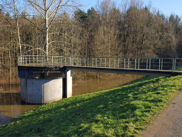 Hochwasser Rückhaltebecken Wanderungen und Rundwege komoot