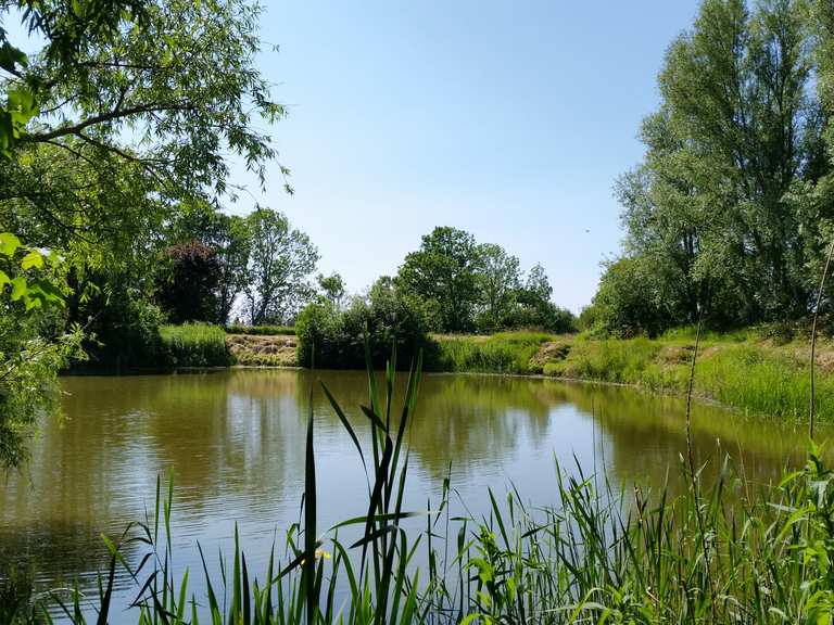 Padingbütteler Mühle am Altendeich Wanderungen und Rundwege komoot