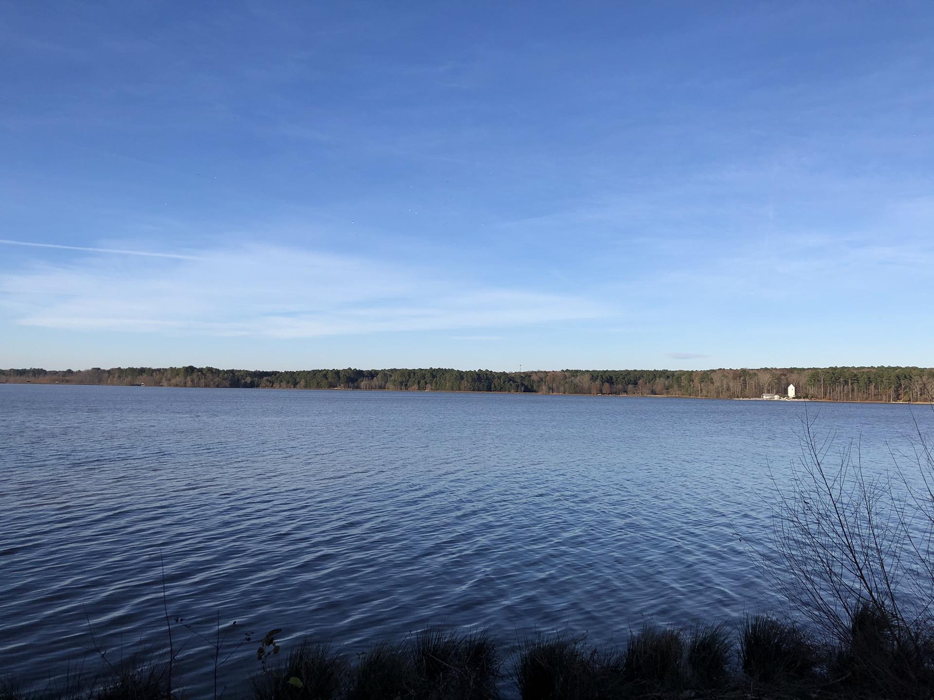 Wide view of a calm lake under a clear blue sky, distant forest.