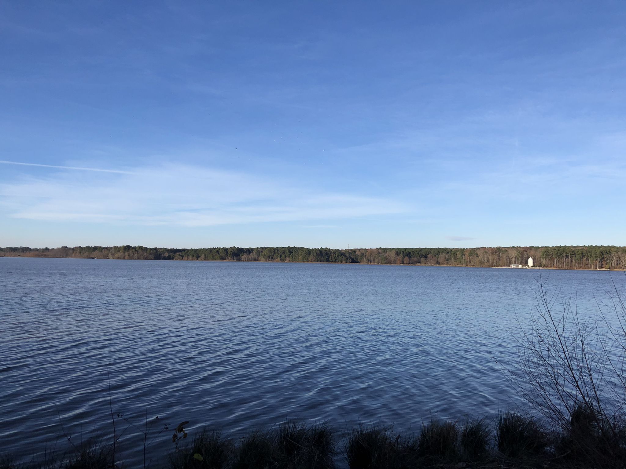 Wide view of a calm lake under a clear blue sky, distant forest. - Lake Trail