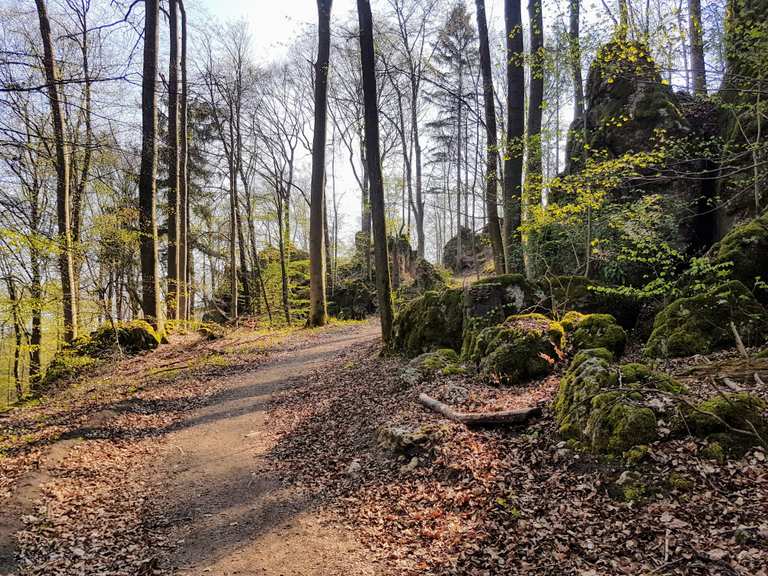 Paul-Pfinzing-Weg – Trailstück Mountain Bike Trails & Tracks | Komoot